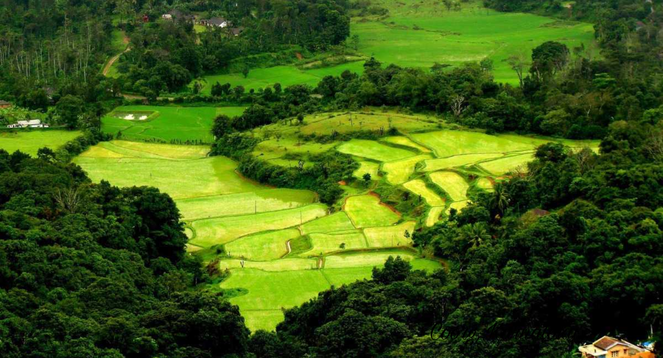 coorg karnataka, best hill stations in india, india's top hill stations, jodhpur cabs