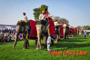 elephant festival jaipur, rajasthan famous festivals,