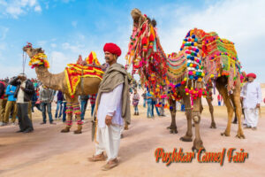 pushkar camel fair, rajasthan famous festivals