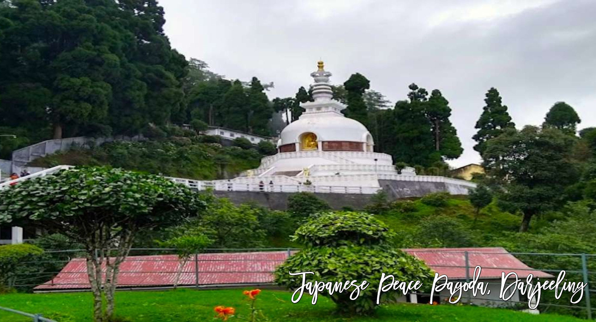 japanese peace pagoda darjeeling, top 14 places to visit in darjeeling, best places to visit in darjeeling, jodhpur cabs