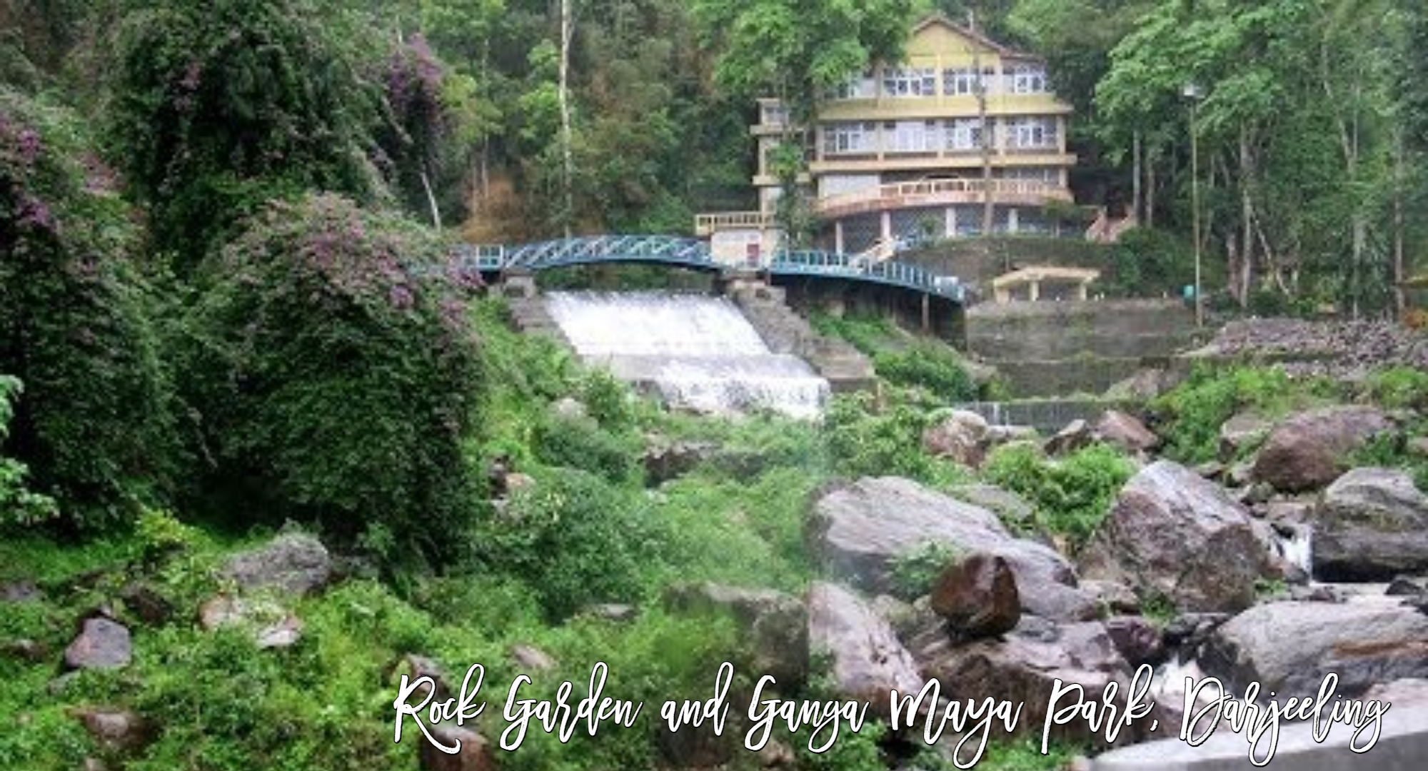 rock garden and ganga maya park darjeeling, top 14 places to visit in darjeeling, best places to visit in darjeeling, jodhpur cabs,