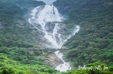 dudhsagar falls goa, best places to visit in goa
