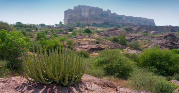 Rao Jodha Desert Park