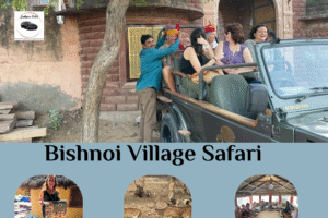 Bishnoi Village Safari